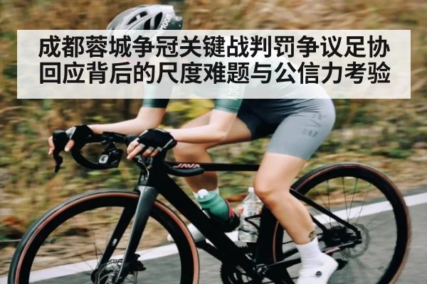 成都蓉城争冠关键战判罚争议足协回应背后的尺度难题与公信力考验